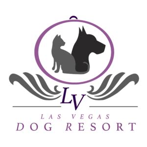 lv dog resort las vegas|lv dog resort henderson nv.